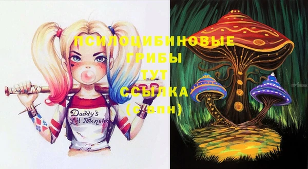 винт Алексеевка